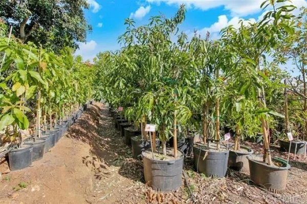 $3,499,000 | 2081 Elevado Road, Vista, CA 92084