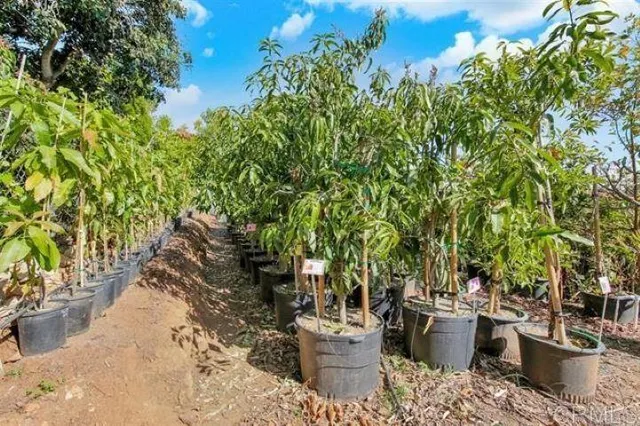 $3,499,000 | 2081 Elevado Road, Vista, CA 92084