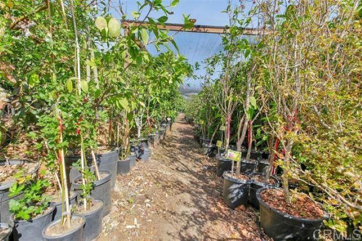 2081 Elevado Road Vista, CA 92084 - Photo 47 of 70