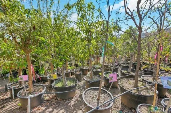 $3,499,000 | 2081 Elevado Road, Vista, CA 92084