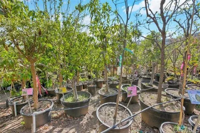 $3,499,000 | 2081 Elevado Road, Vista, CA 92084