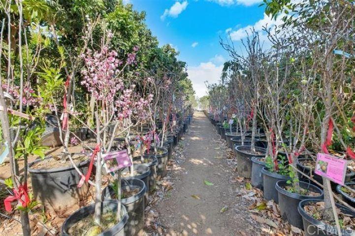 2081 Elevado Road Vista, CA 92084 - Photo 50 of 70