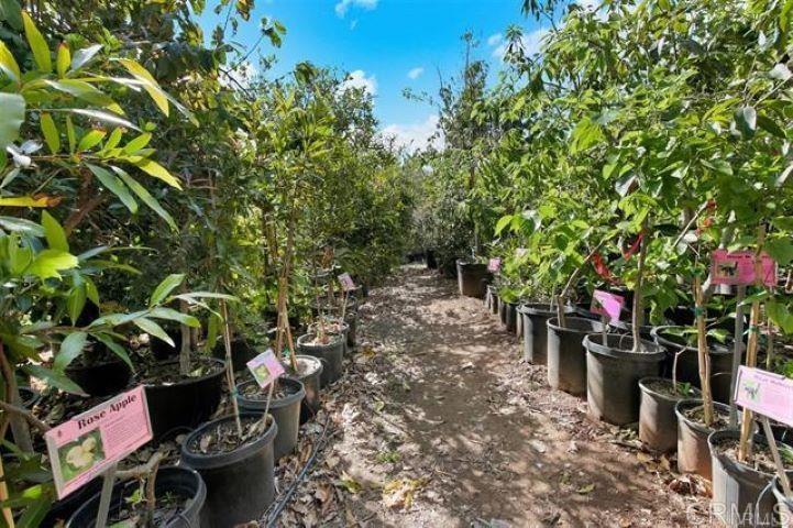 2081 Elevado Road Vista, CA 92084 - Photo 51 of 70