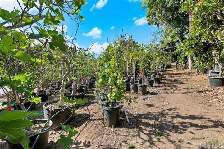 2081 Elevado Road Vista, CA 92084 - Photo 53 of 70