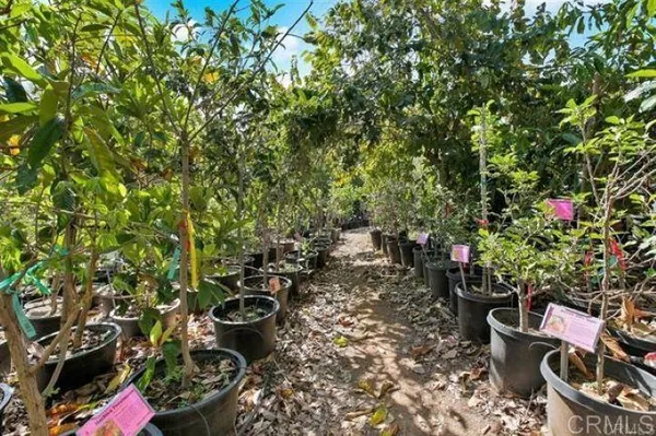 $3,499,000 | 2081 Elevado Road, Vista, CA 92084