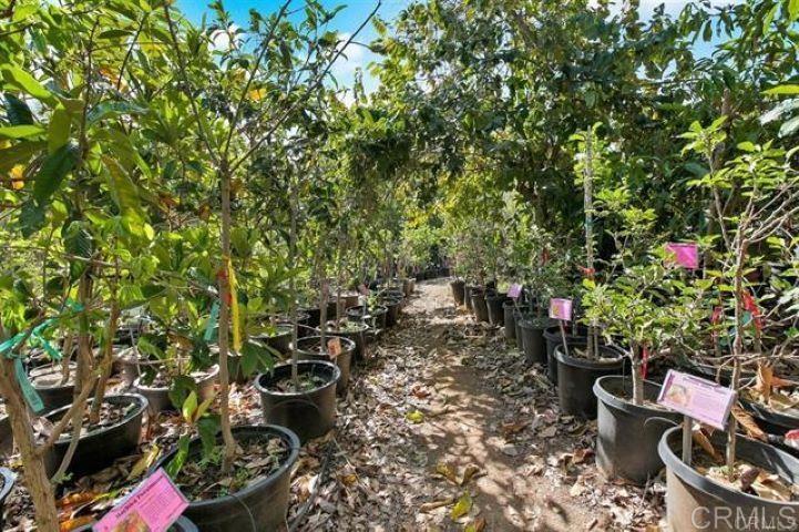 2081 Elevado Road Vista, CA 92084 - Photo 54 of 70