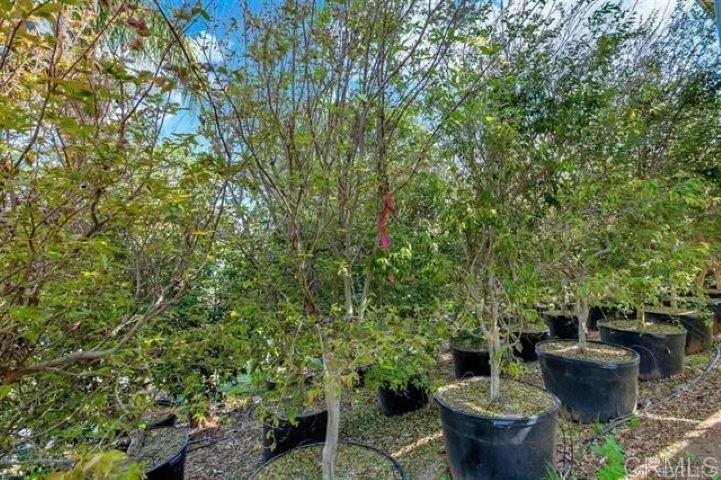 2081 Elevado Road Vista, CA 92084 - Photo 55 of 70