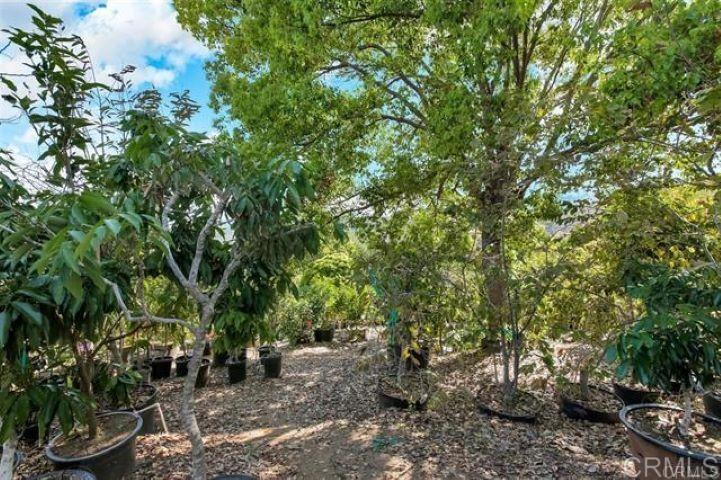 2081 Elevado Road Vista, CA 92084 - Photo 56 of 70