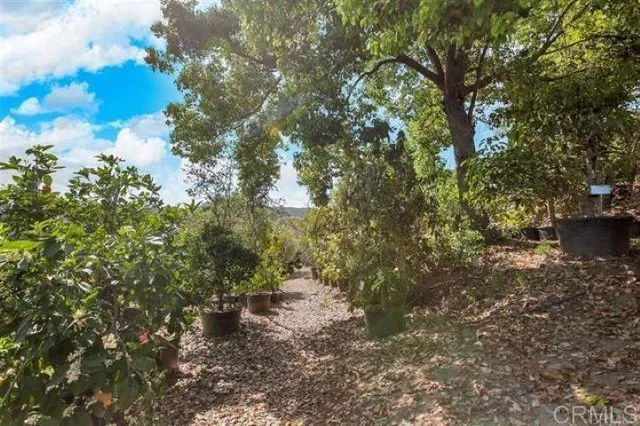 $3,499,000 | 2081 Elevado Road, Vista, CA 92084