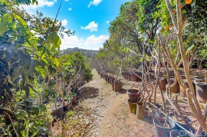 2081 Elevado Road Vista, CA 92084 - Photo 59 of 70