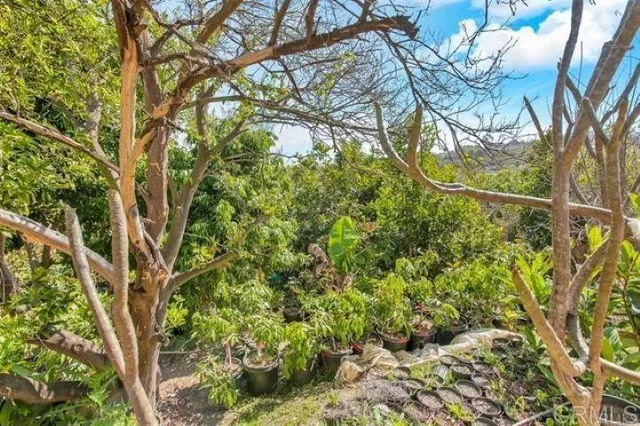 $3,499,000 | 2081 Elevado Road, Vista, CA 92084