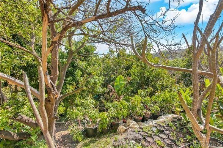 2081 Elevado Road Vista, CA 92084 - Photo 60 of 70