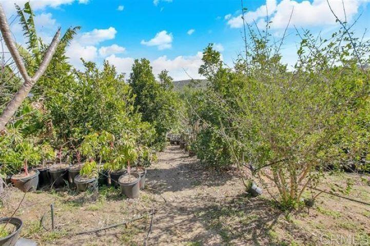 2081 Elevado Road Vista, CA 92084 - Photo 61 of 70