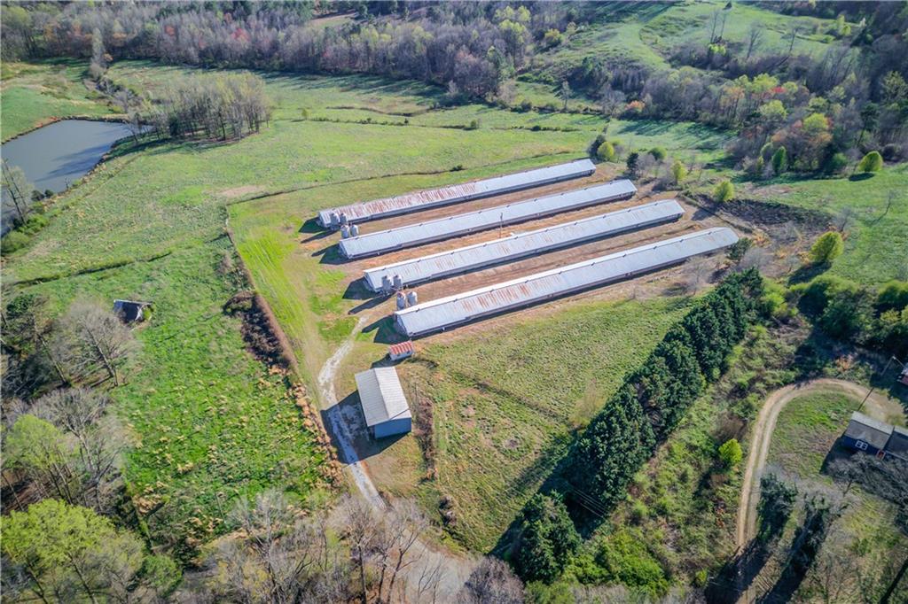 334 Brock Road Toccoa, GA 30577 - Photo 1 of 22 an aerial view of a yard with a garden and plants