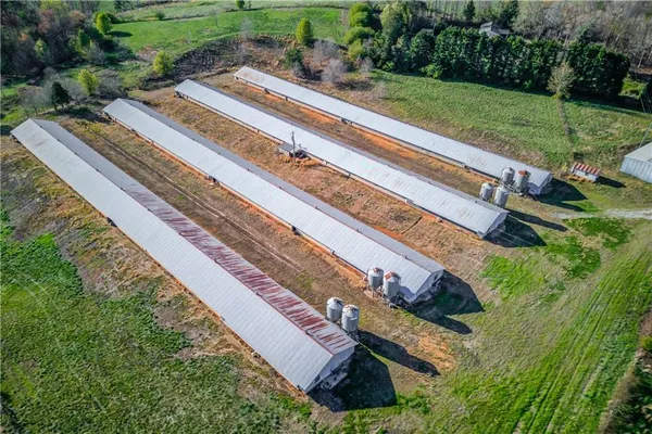 a view of a yard