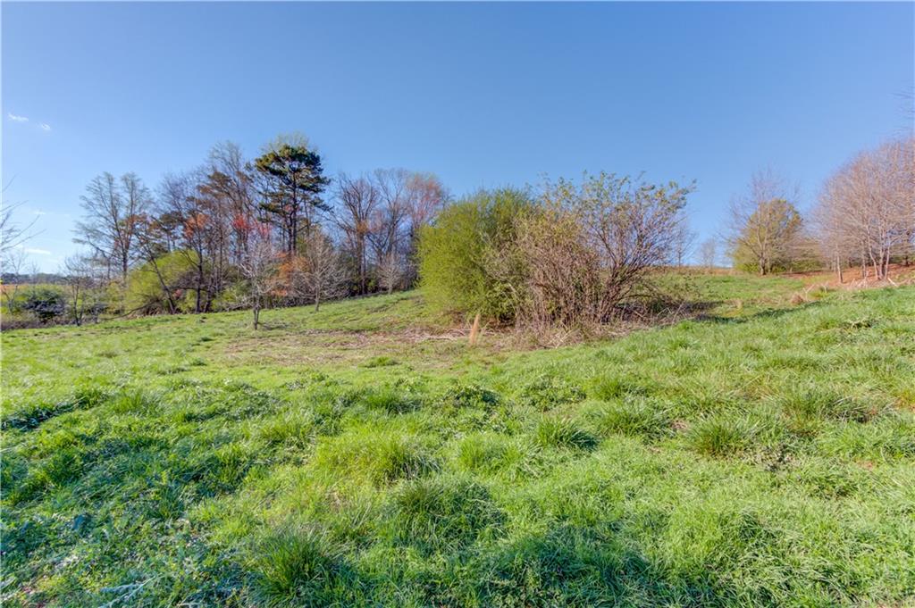 334 Brock Road Toccoa, GA 30577 - Photo 17 of 22 a view of a yard