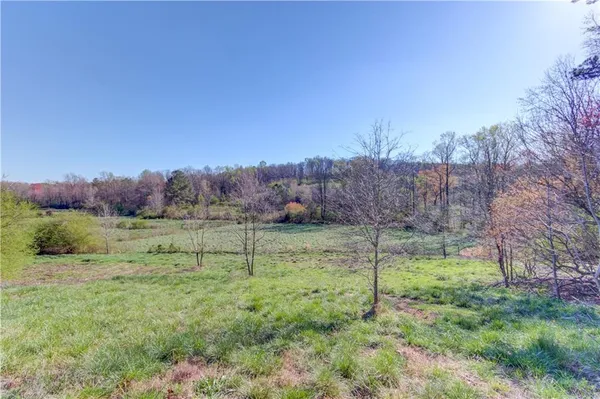a garden view with a lake