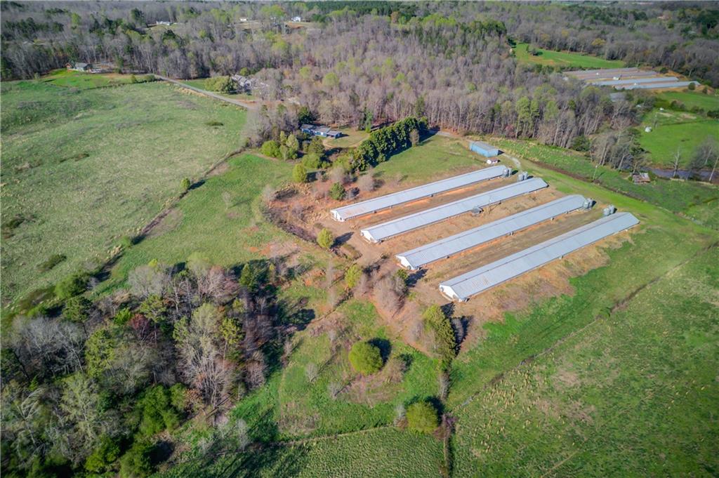 334 Brock Road Toccoa, GA 30577 - Photo 20 of 22 a garden view with a lake