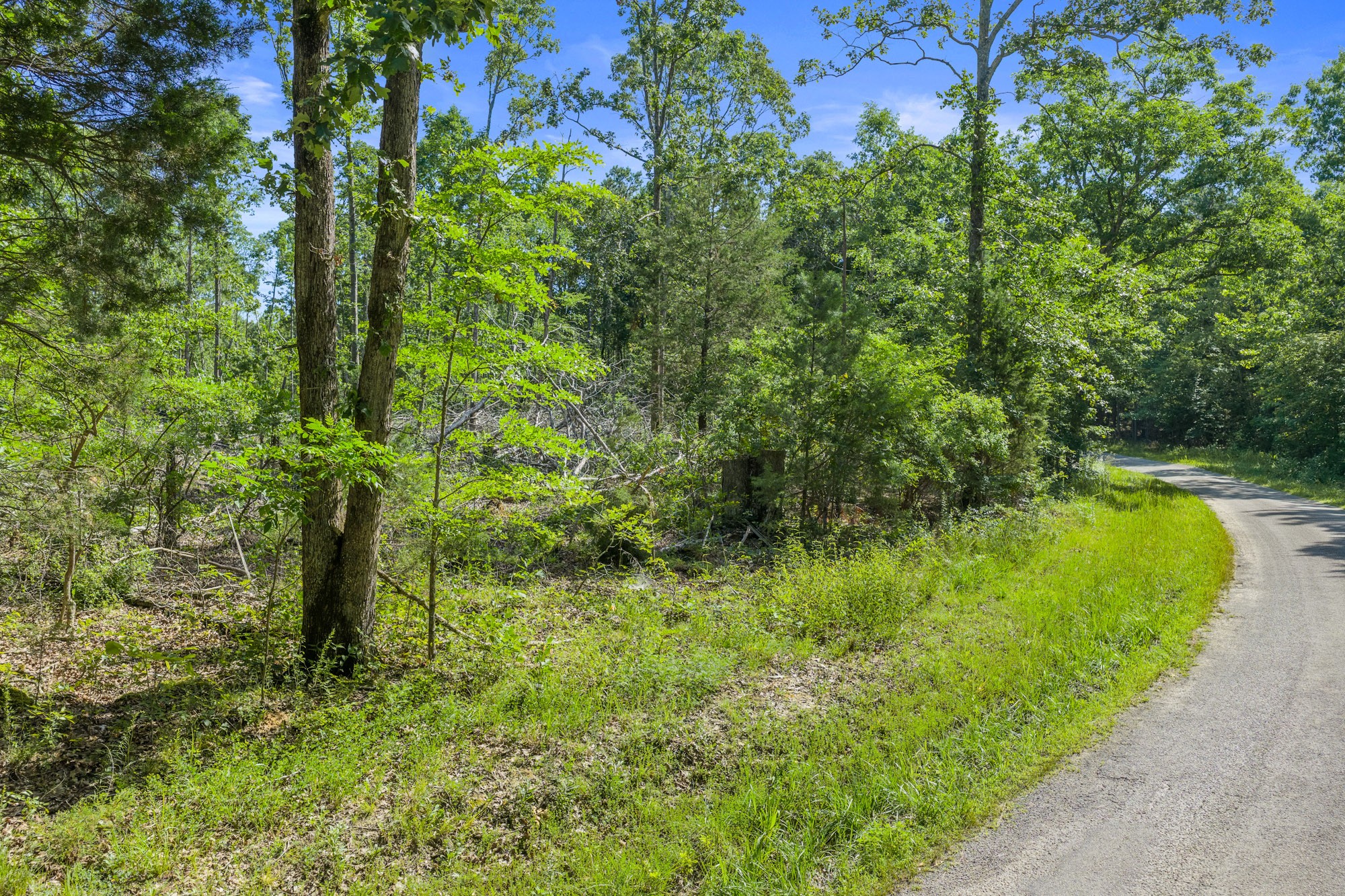0 Green Hatley Branch Road Holladay, TN 38341 - Photo 18 of 18 Gallery Image 18