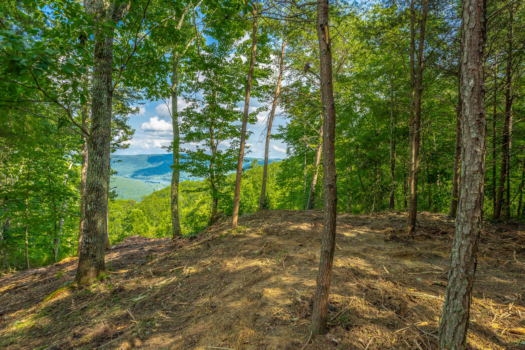0 Back Basin Trail, Unit LOT 1244 Chattanooga, TN 37419 - Photo 19 of 119 MCW Correction HD-20