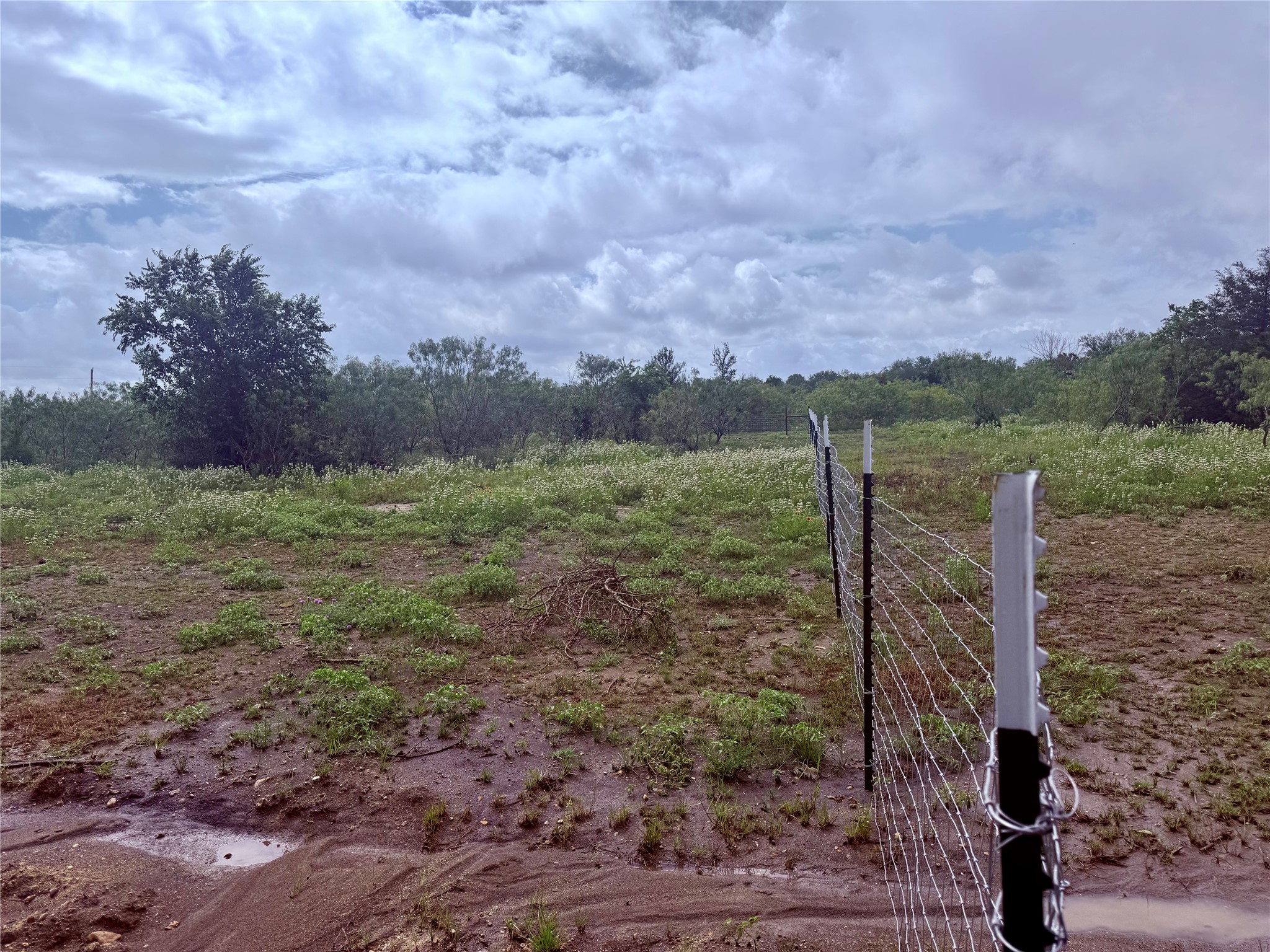 0 Engelke Road Kyle, TX 78640 - Photo 13 of 16 A barbed wire fence delineates the boundary of a spacious, natural lot, offering open views under a vast sky.