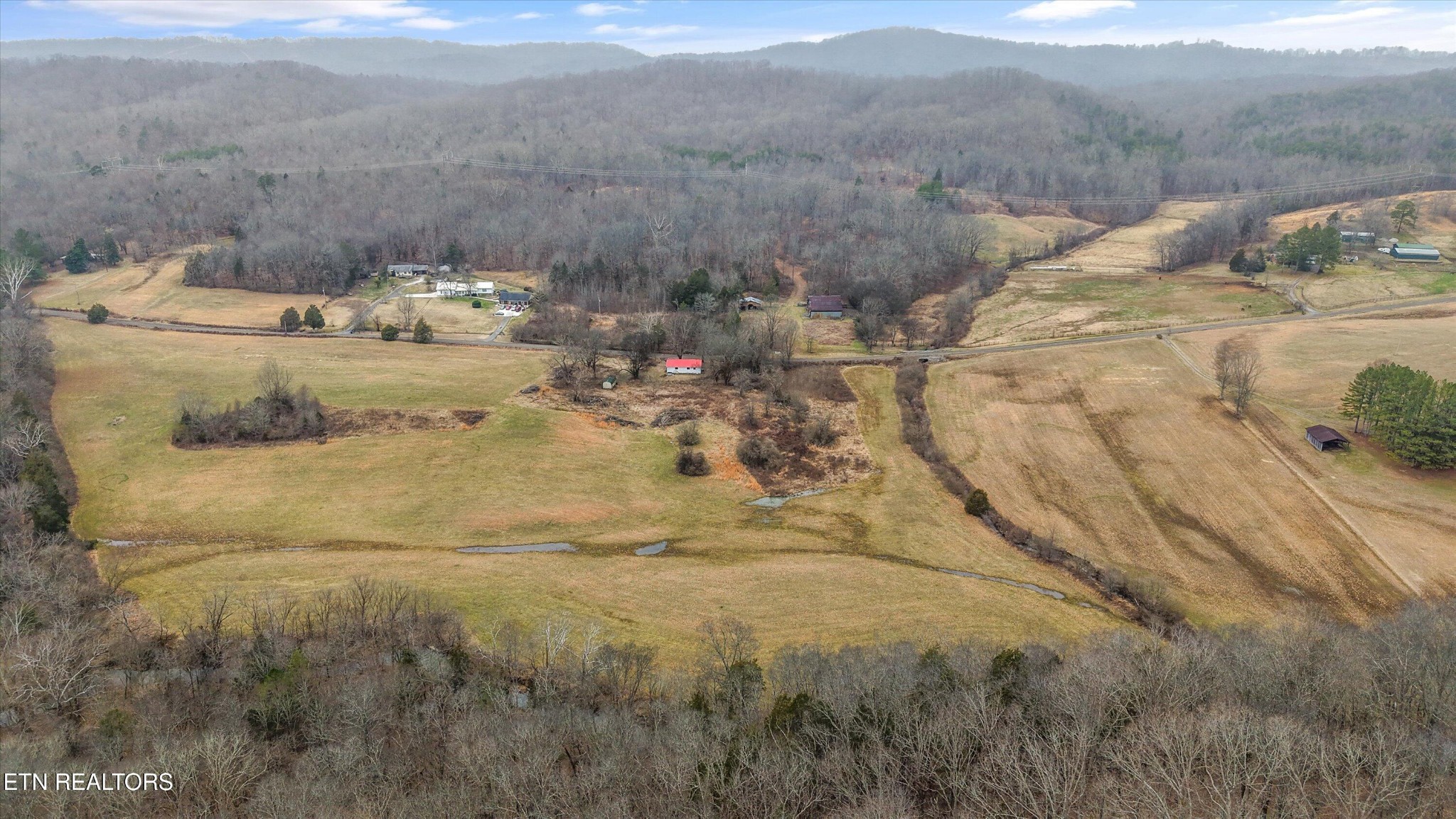 1201 Laurel Bluff Road Kingston, TN 37763 - Photo 13 of 21 a view of a yard with an outdoor space