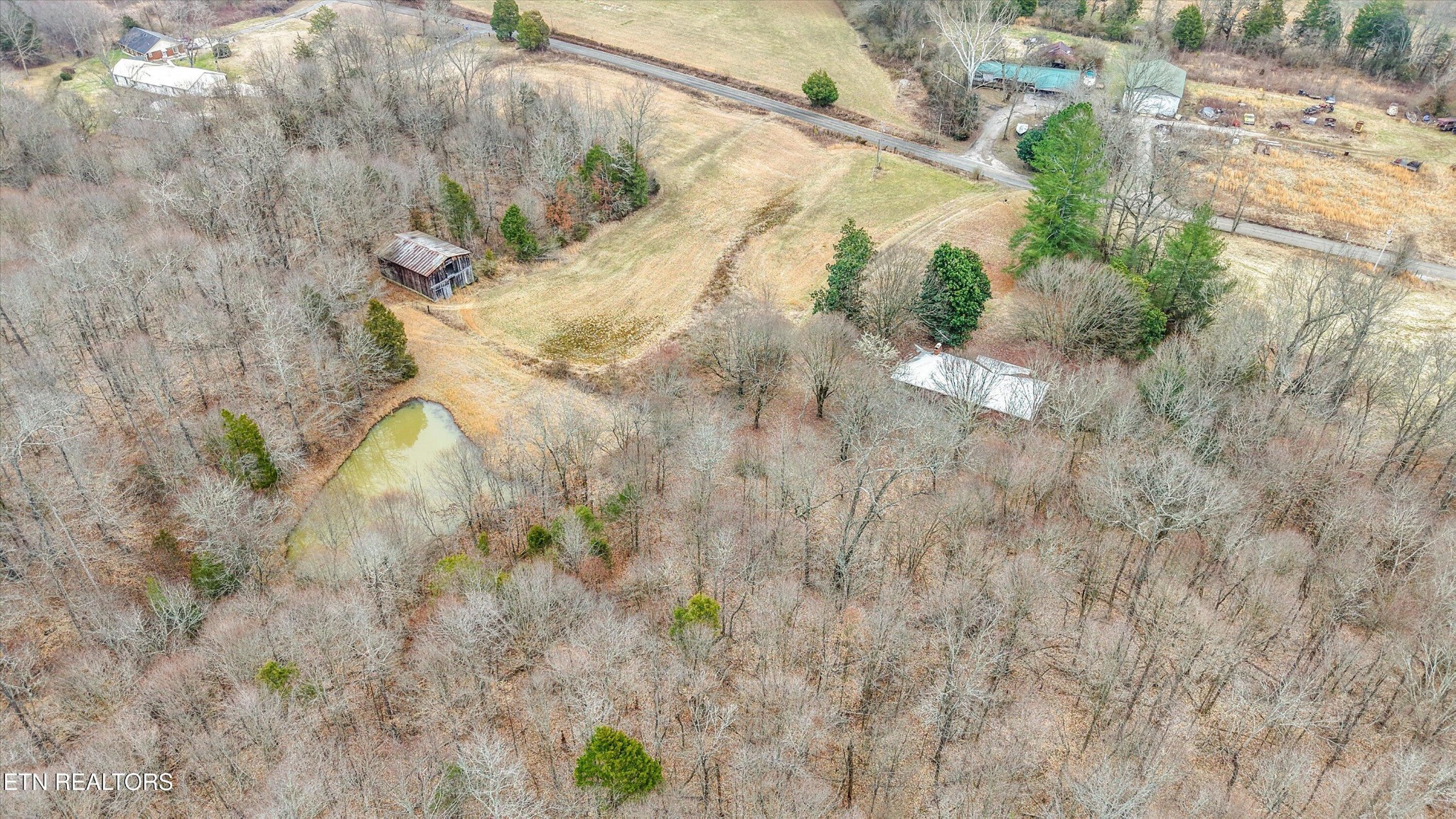 1201 Laurel Bluff Road Kingston, TN 37763 - Photo 17 of 21 a view of a tree in a yard