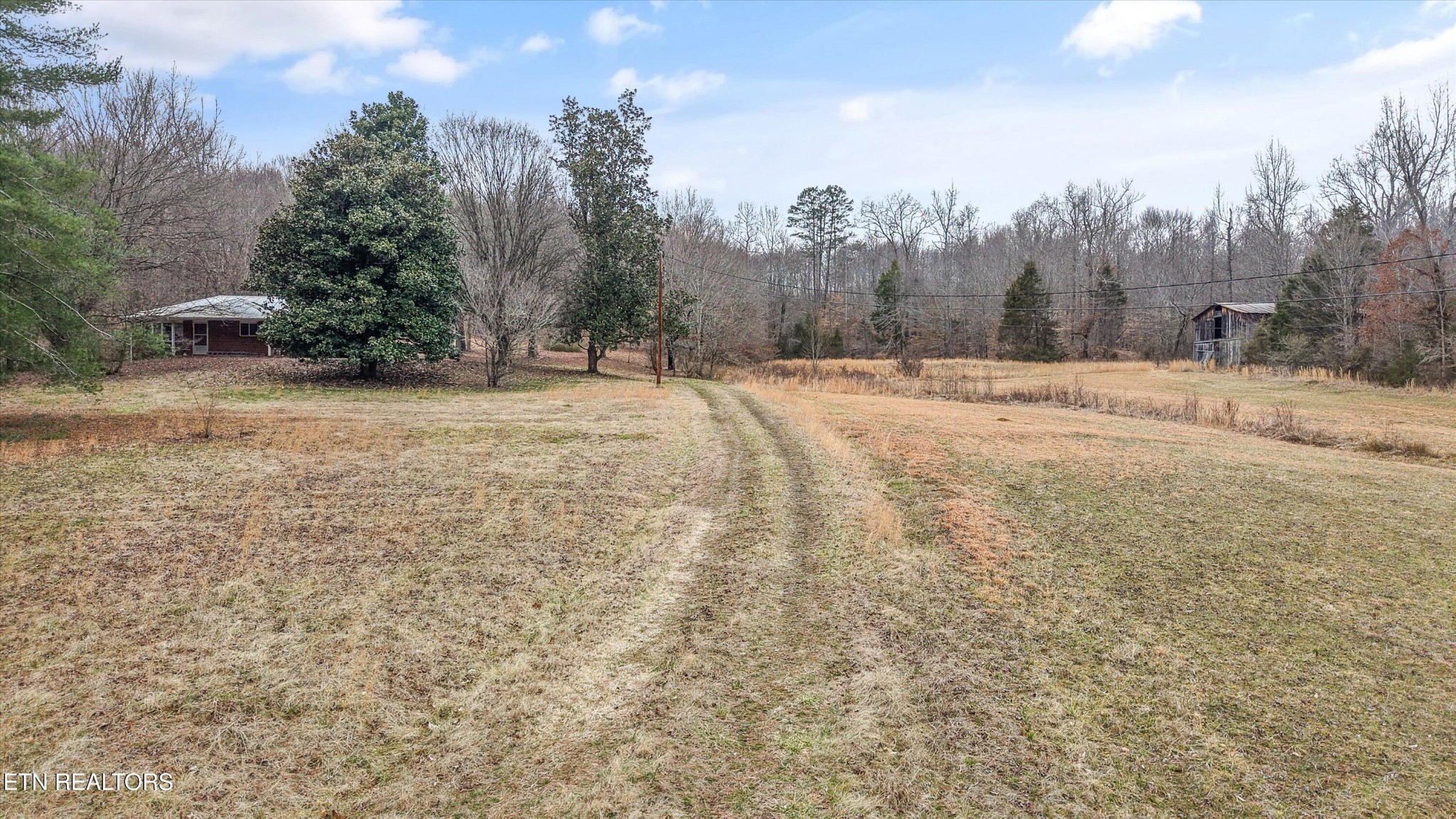 1201 Laurel Bluff Road Kingston, TN 37763 - Photo 18 of 21 a view of a yard with trees in the background