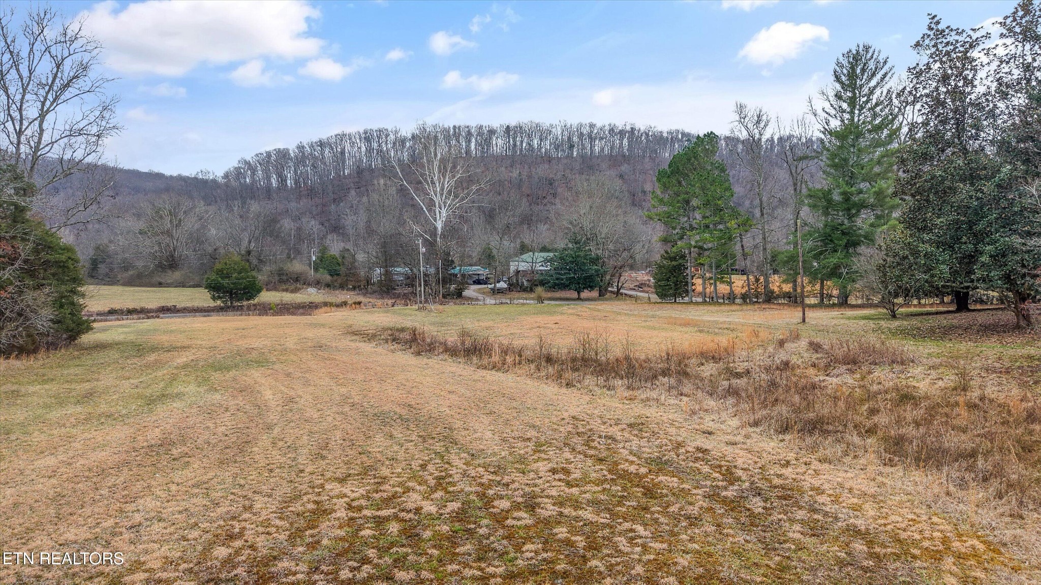 1201 Laurel Bluff Road Kingston, TN 37763 - Photo 19 of 21 a view of road with trees