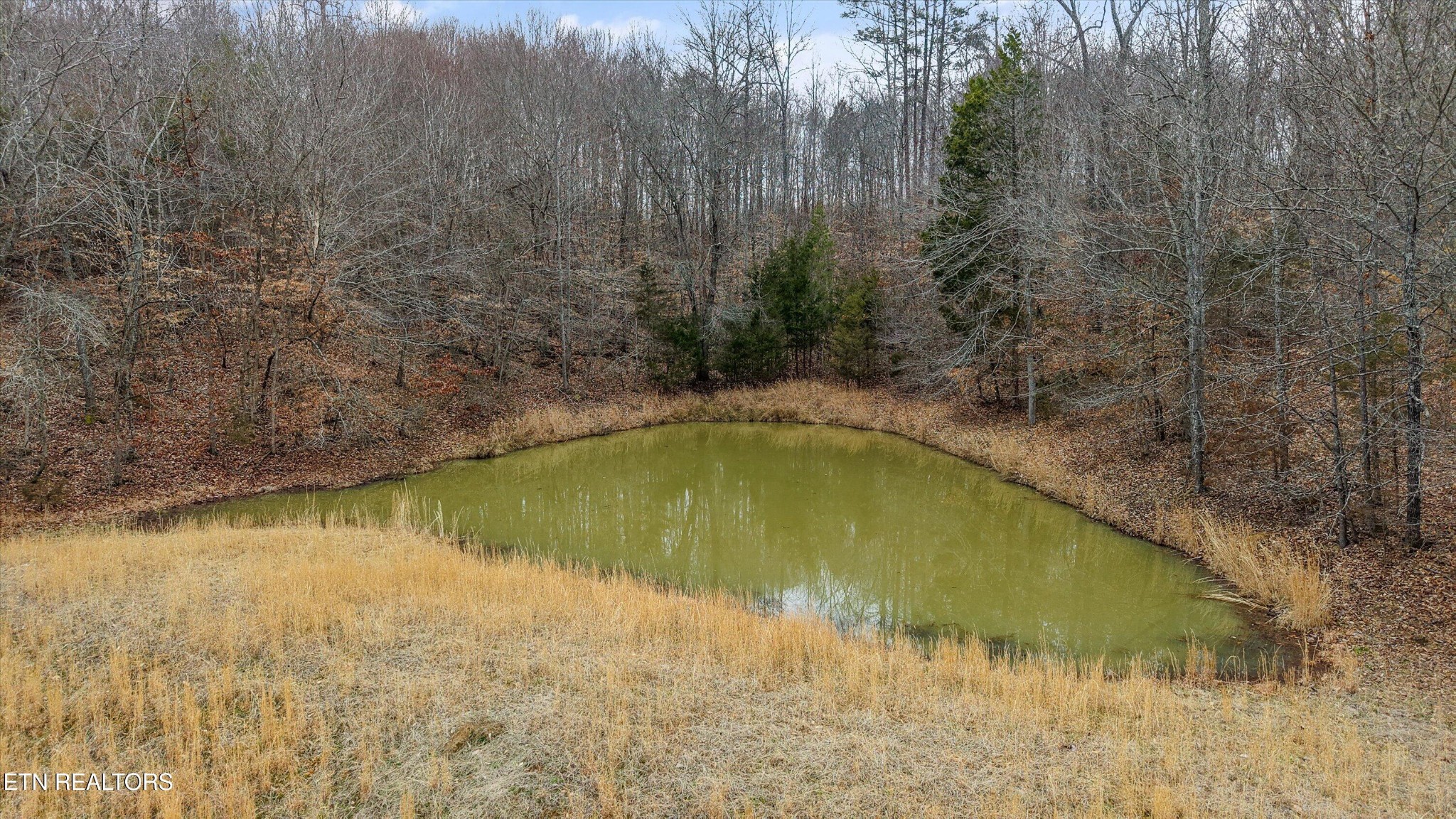 1201 Laurel Bluff Road Kingston, TN 37763 - Photo 21 of 21 a swimming pool with trees in the background