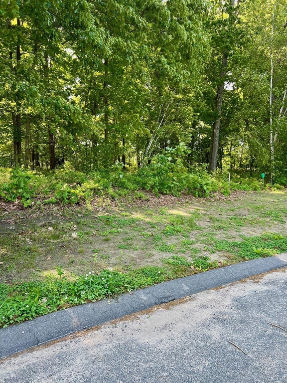 0 Hyde Road West Springfield, MA 01089 - Photo 3 of 5 Gallery Image 3