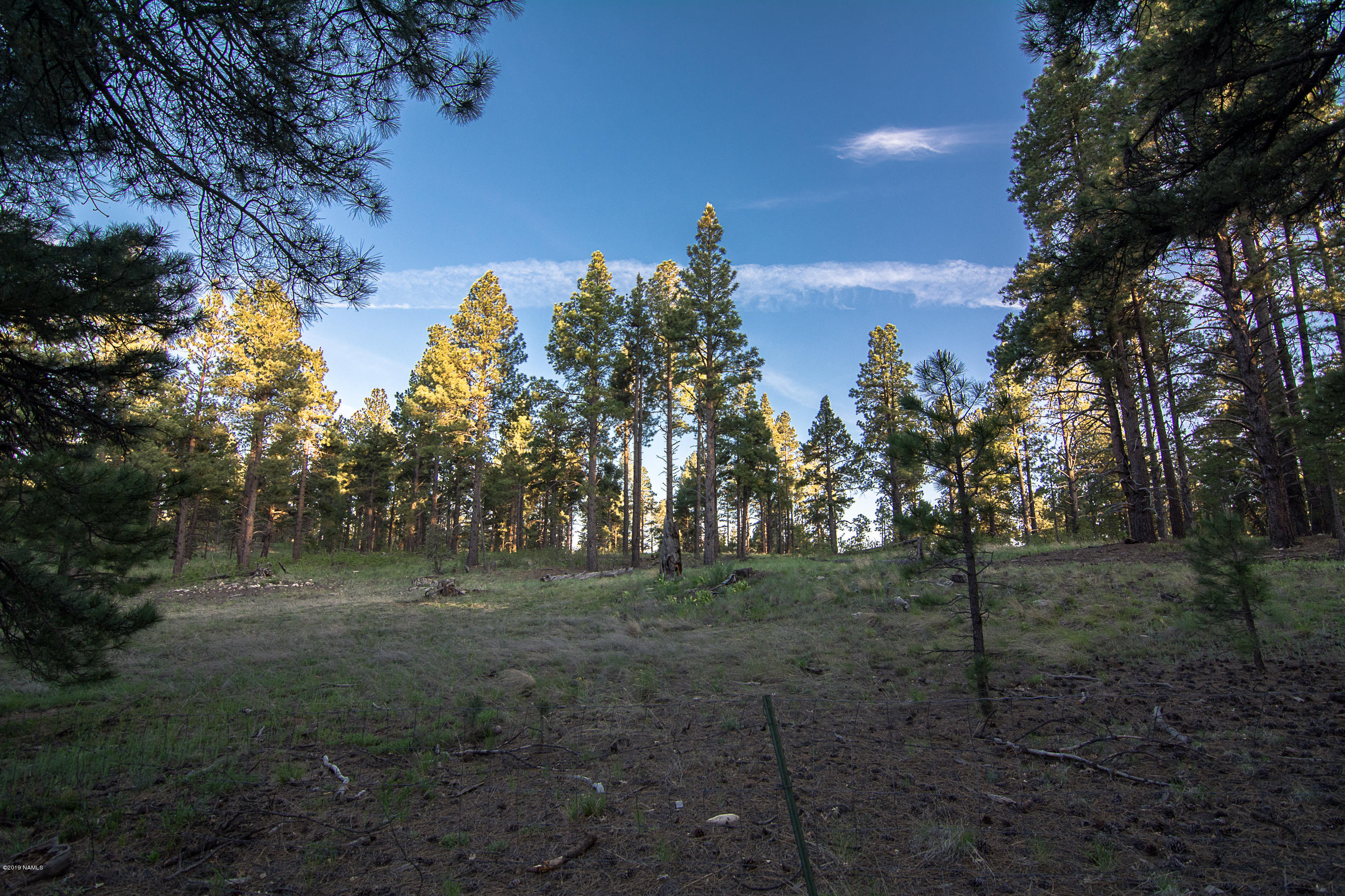 1418 Homestead Road Flagstaff, AZ 86005 - Photo 15 of 33 Views