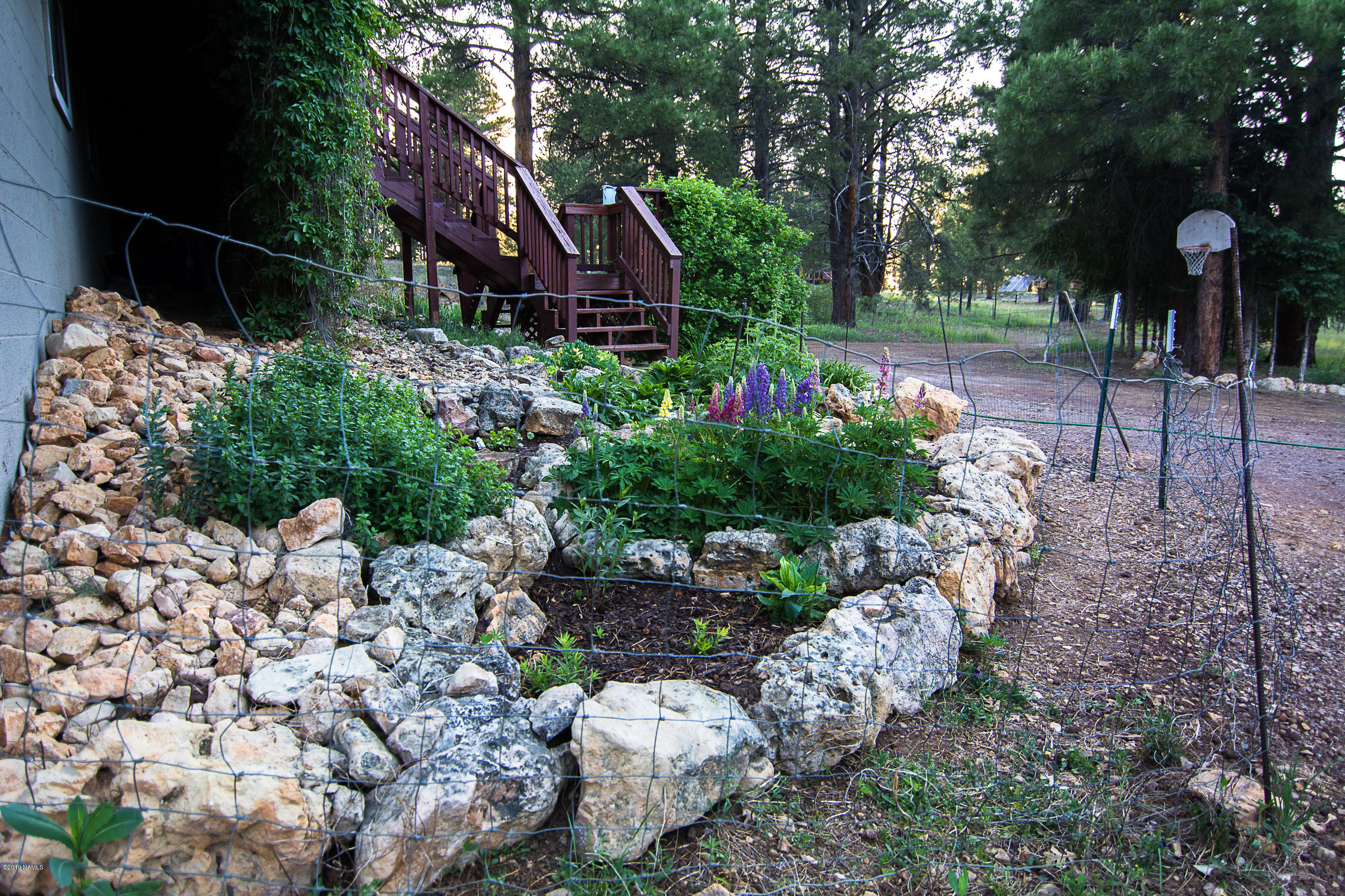 1418 Homestead Road Flagstaff, AZ 86005 - Photo 25 of 33 Landscape