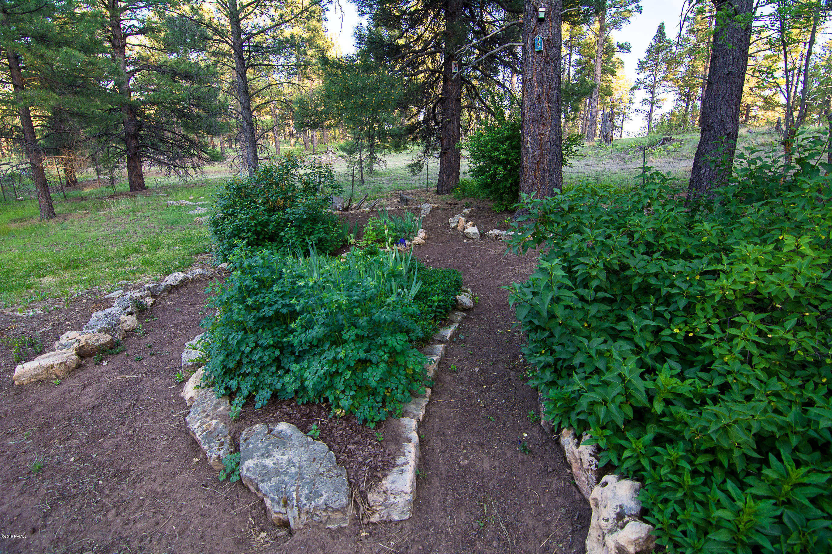 1418 Homestead Road Flagstaff, AZ 86005 - Photo 29 of 33 Landscaping