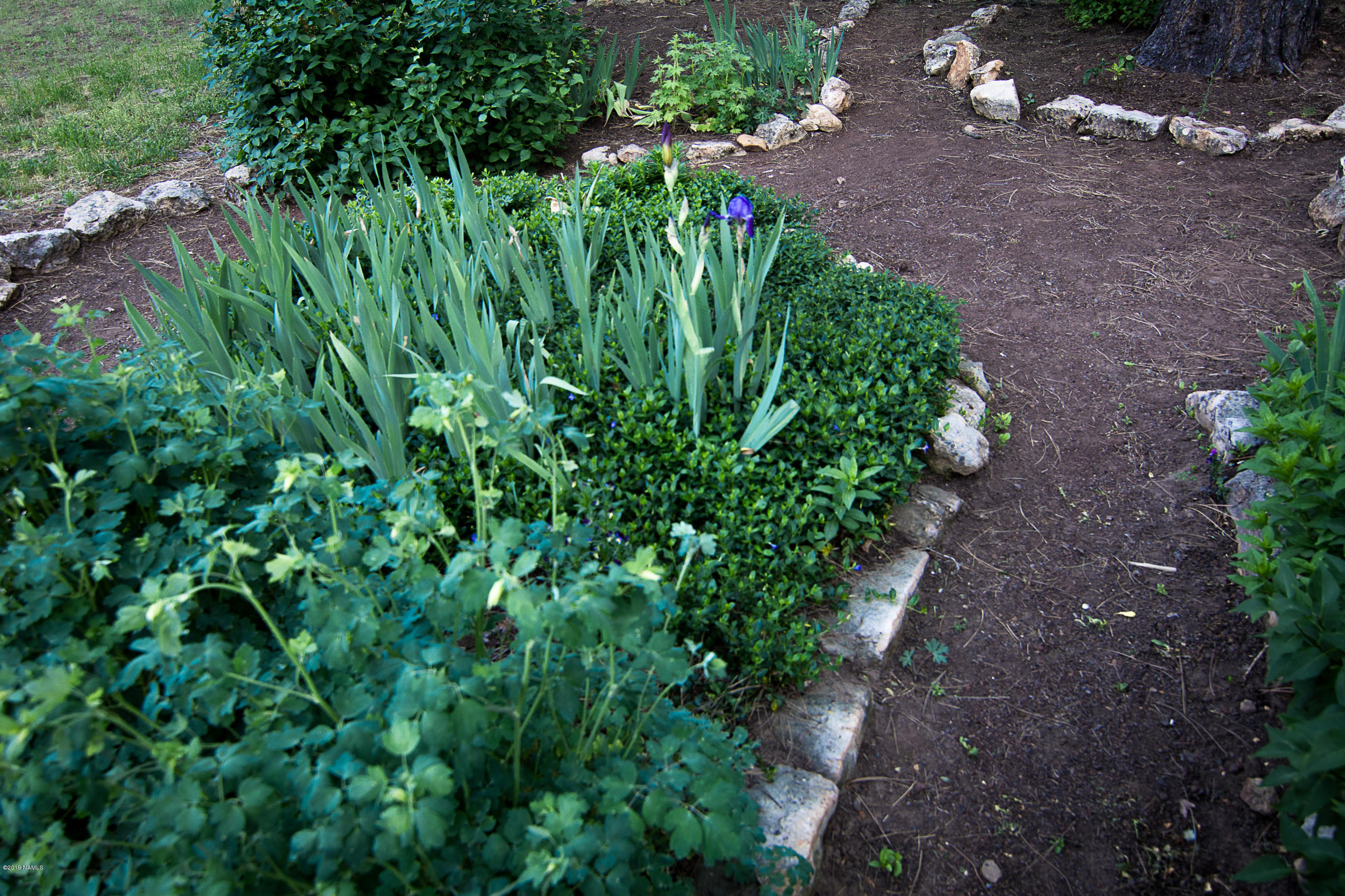 1418 Homestead Road Flagstaff, AZ 86005 - Photo 30 of 33 Landscaping
