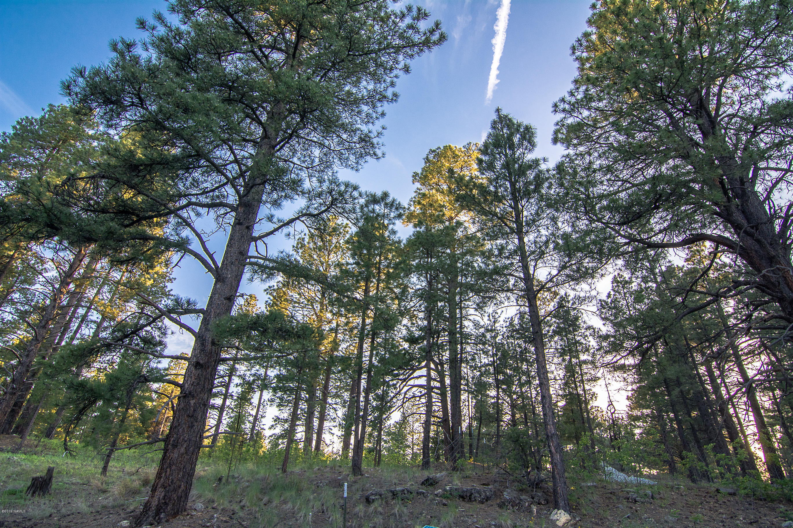 1418 Homestead Road Flagstaff, AZ 86005 - Photo 31 of 33 Views