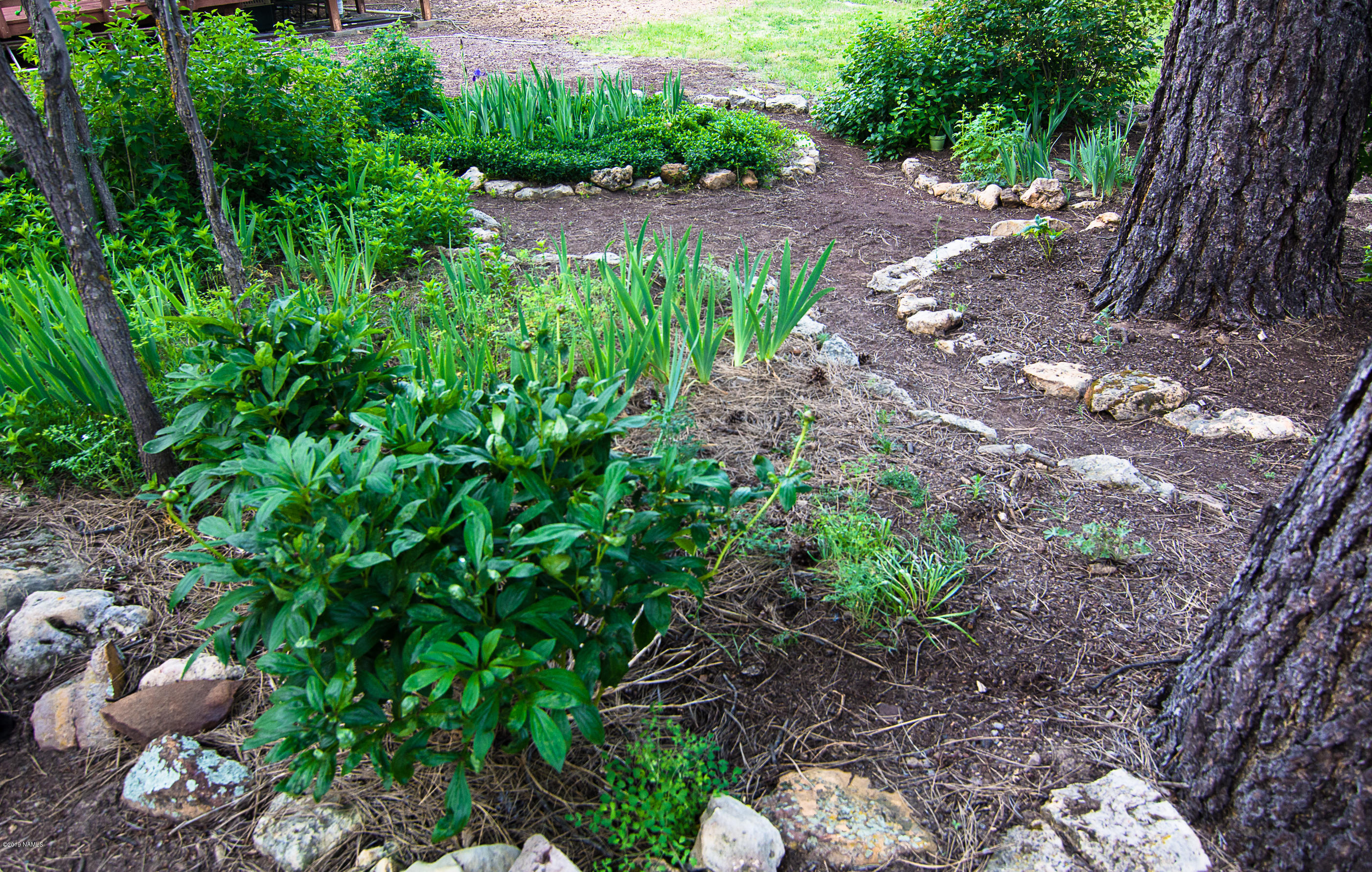 1418 Homestead Road Flagstaff, AZ 86005 - Photo 32 of 33 Landscaping