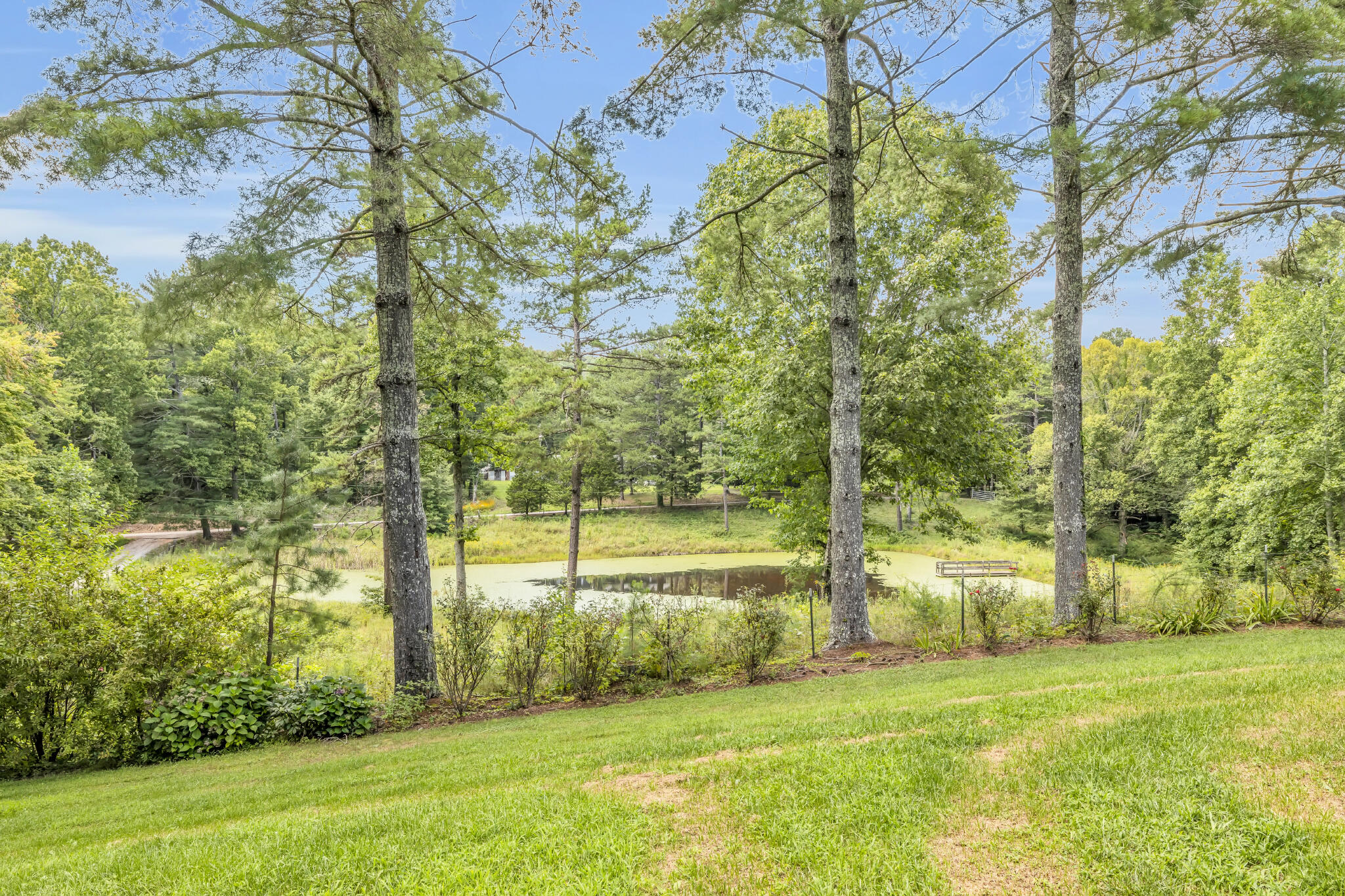 2124 Reed Lane Soddy Daisy, TN 37379 - Photo 6 of 25 4T1A4579