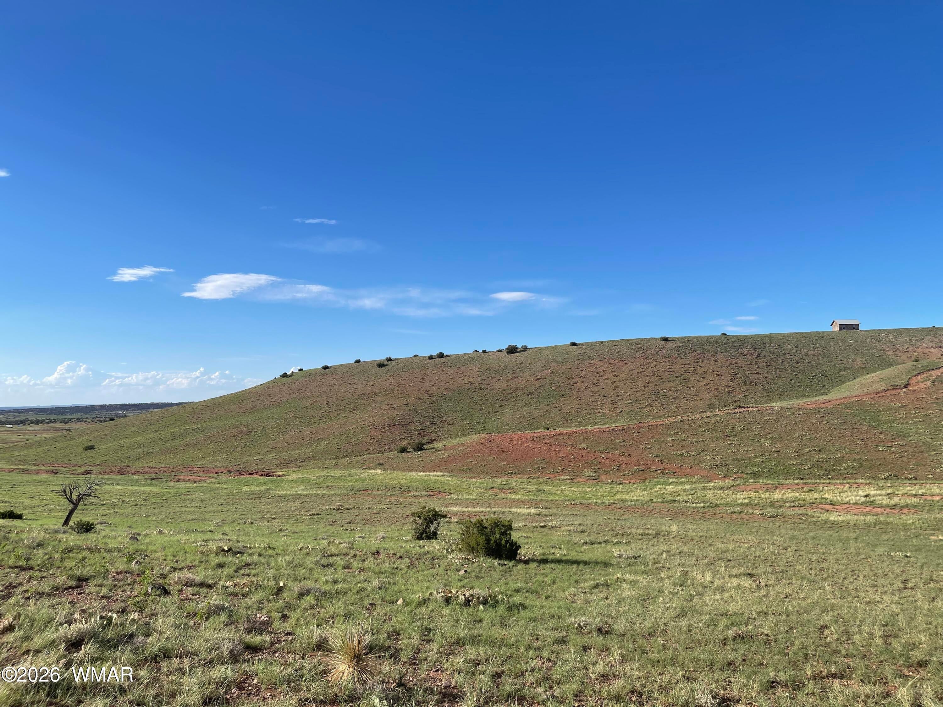 1292 County Road Concho, AZ 85924 - Photo 9 of 20 Gallery Image 9
