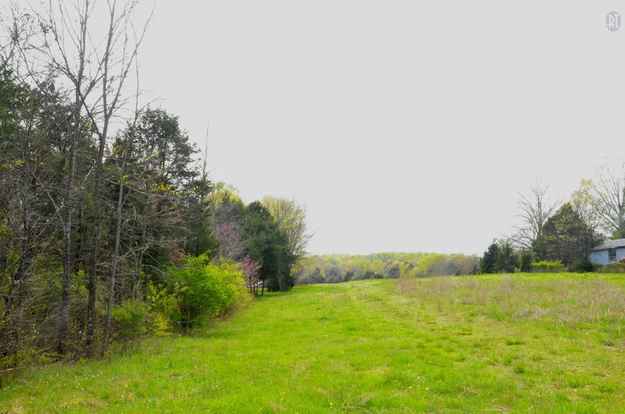 5129 Will Brown Road Spring Hill, TN 37174 - Photo 6 of 20