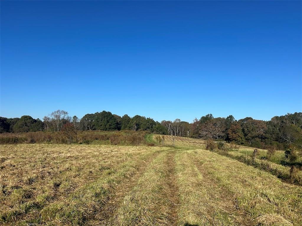 0 Old Columbus Road Bowdon, GA 30108 - Photo 26 of 26