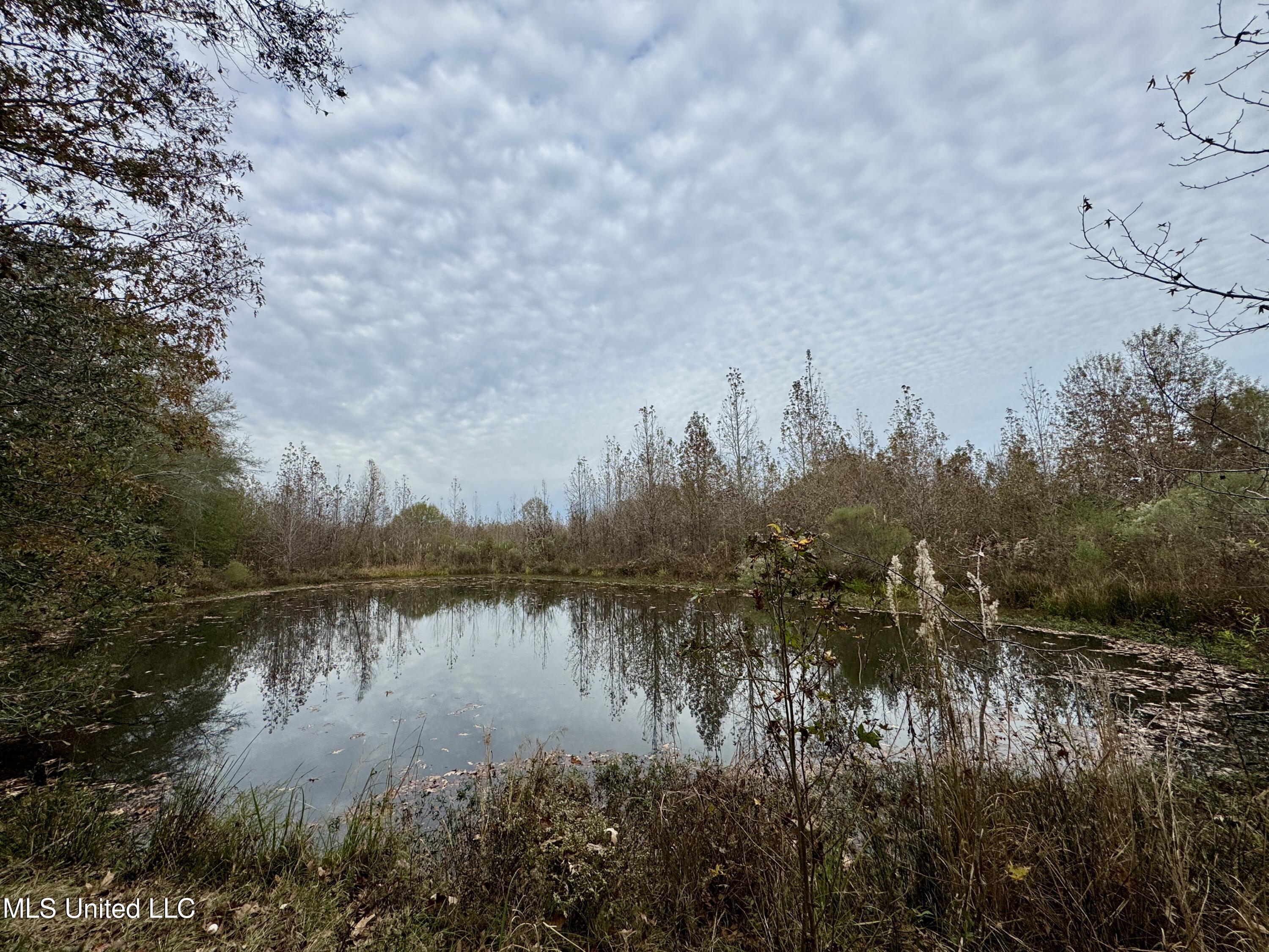 0 Brown Road Canton, MS 39046 - Photo 13 of 23 A6A94267-FED2-419D-A280-76FEE69ED3F4_1_2