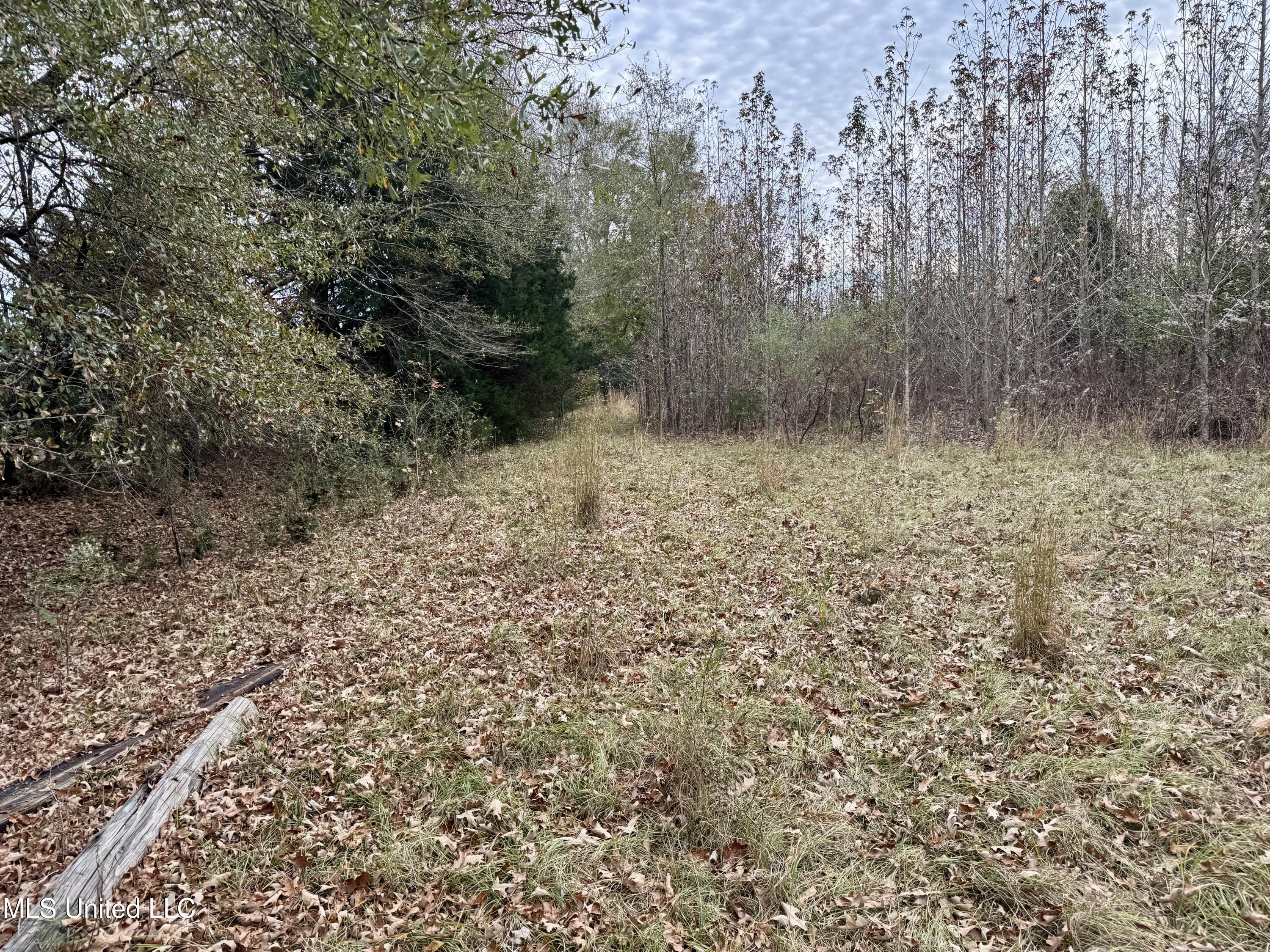 0 Brown Road Canton, MS 39046 - Photo 15 of 23 BE596BDE-B2DE-4459-8579-D80DB2C1C4C0_1_2