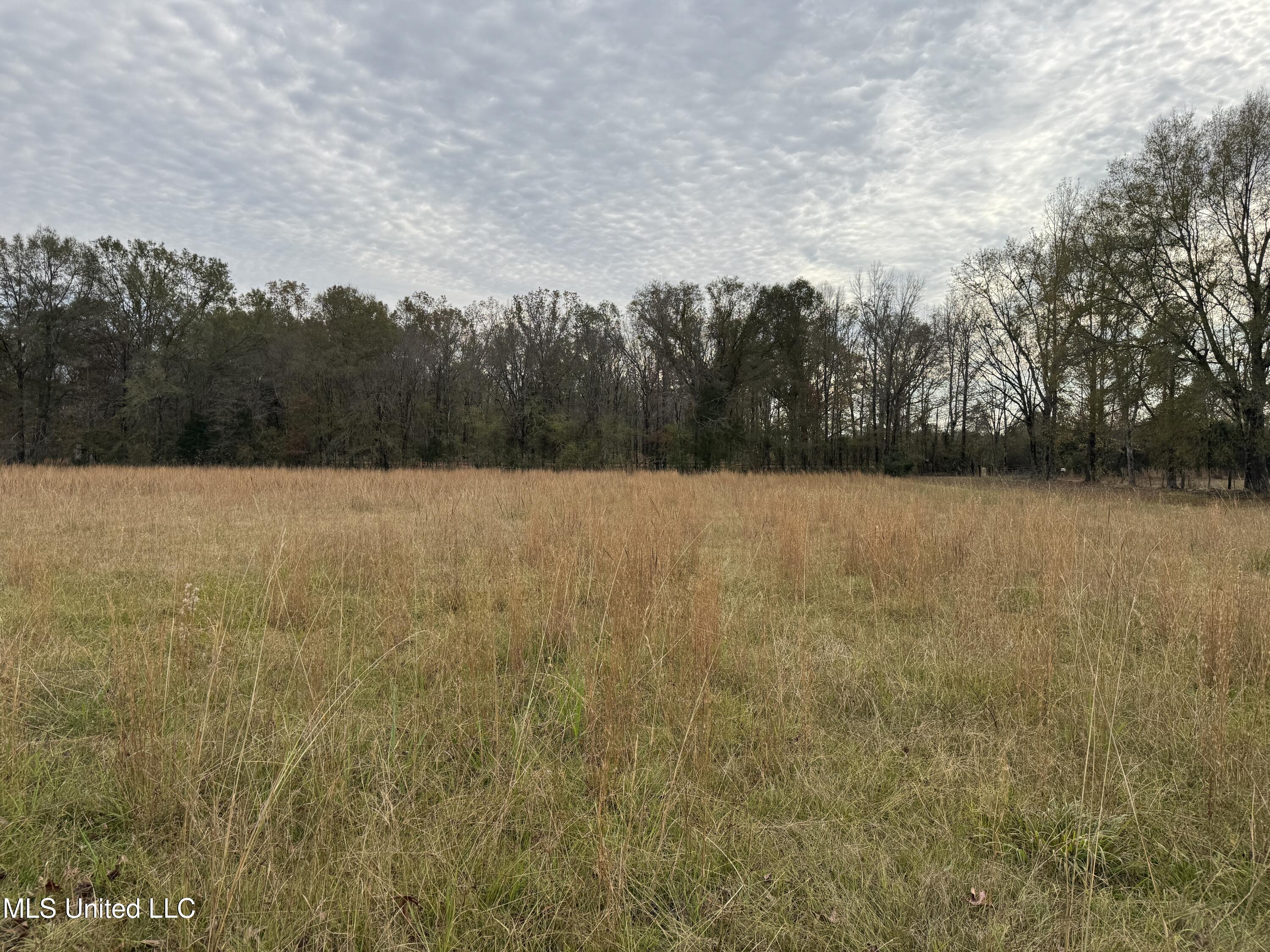 0 Brown Road Canton, MS 39046 - Photo 19 of 23 64BDC182-420D-4868-8235-1E0605227337_1_2