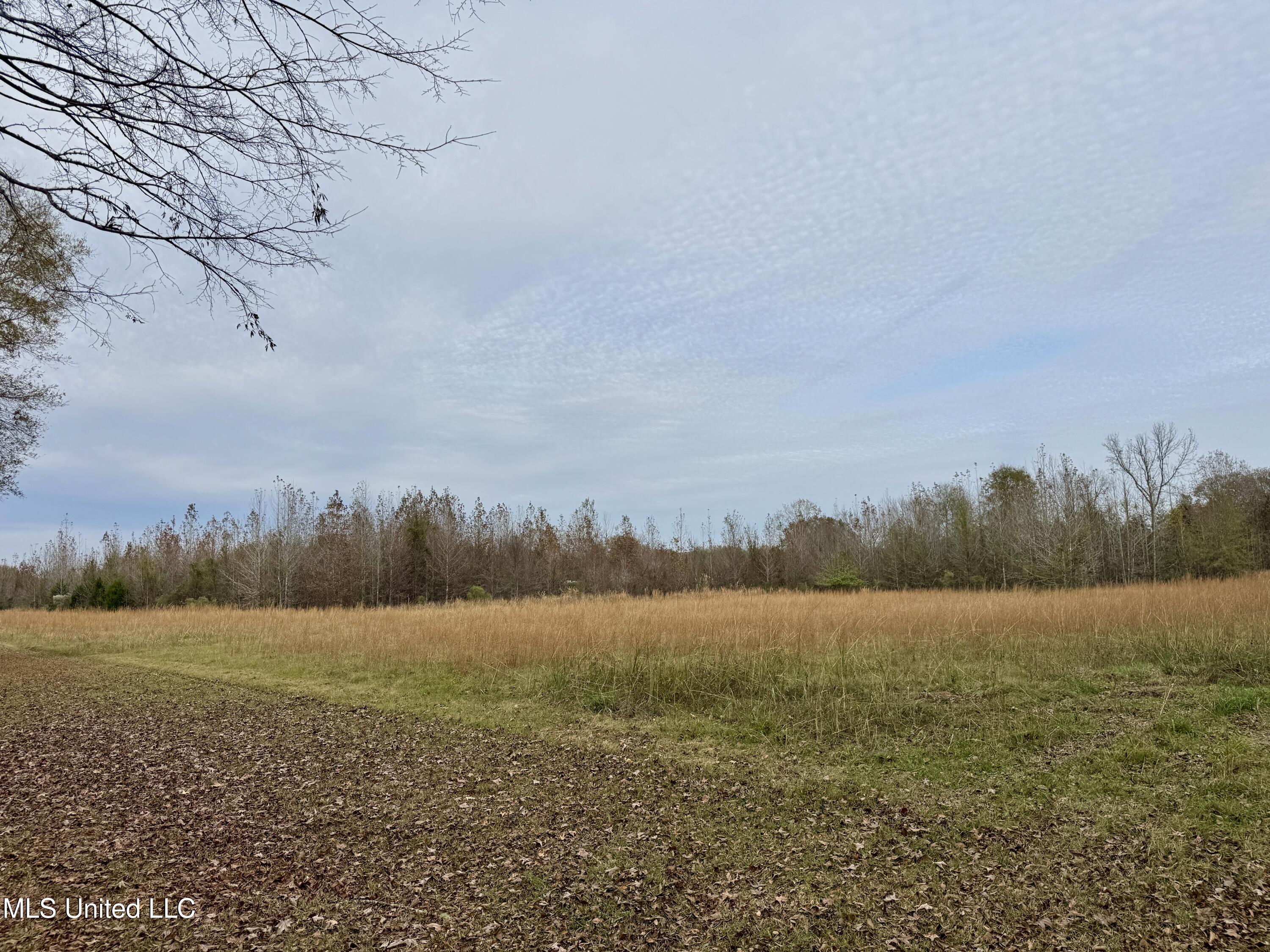 0 Brown Road Canton, MS 39046 - Photo 5 of 23 9A9B0684-0B8B-4F46-9B2E-1676A8461A37_1_2