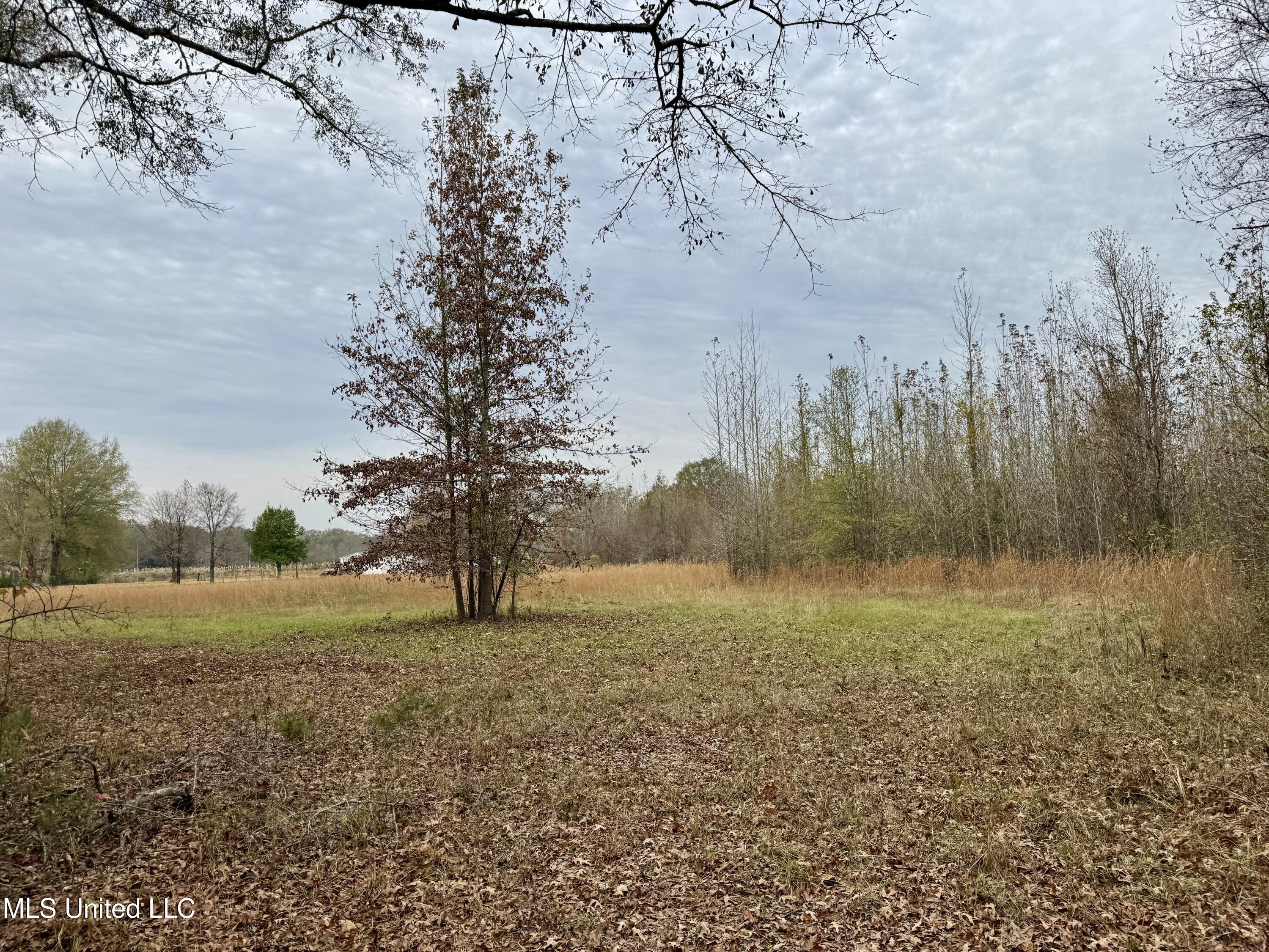 0 Brown Road Canton, MS 39046 - Photo 10 of 23 C3DBD6DE-F156-4F61-84A7-7B815607954A_1_2