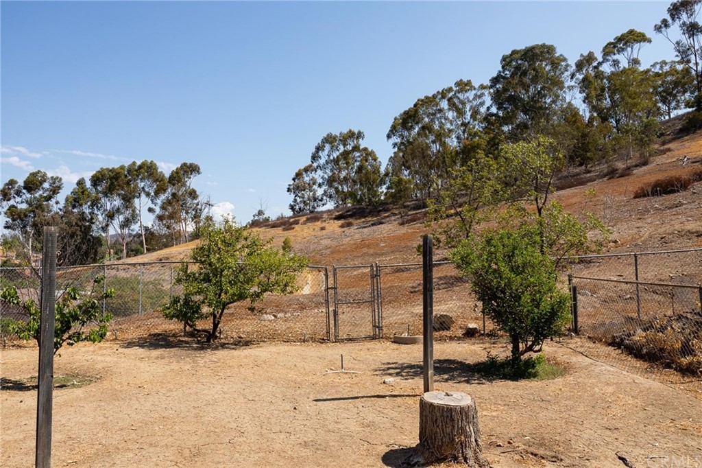 12540 Taunt Place Poway, CA 92064 - Photo 24 of 36 a backyard of a house with lots of green space