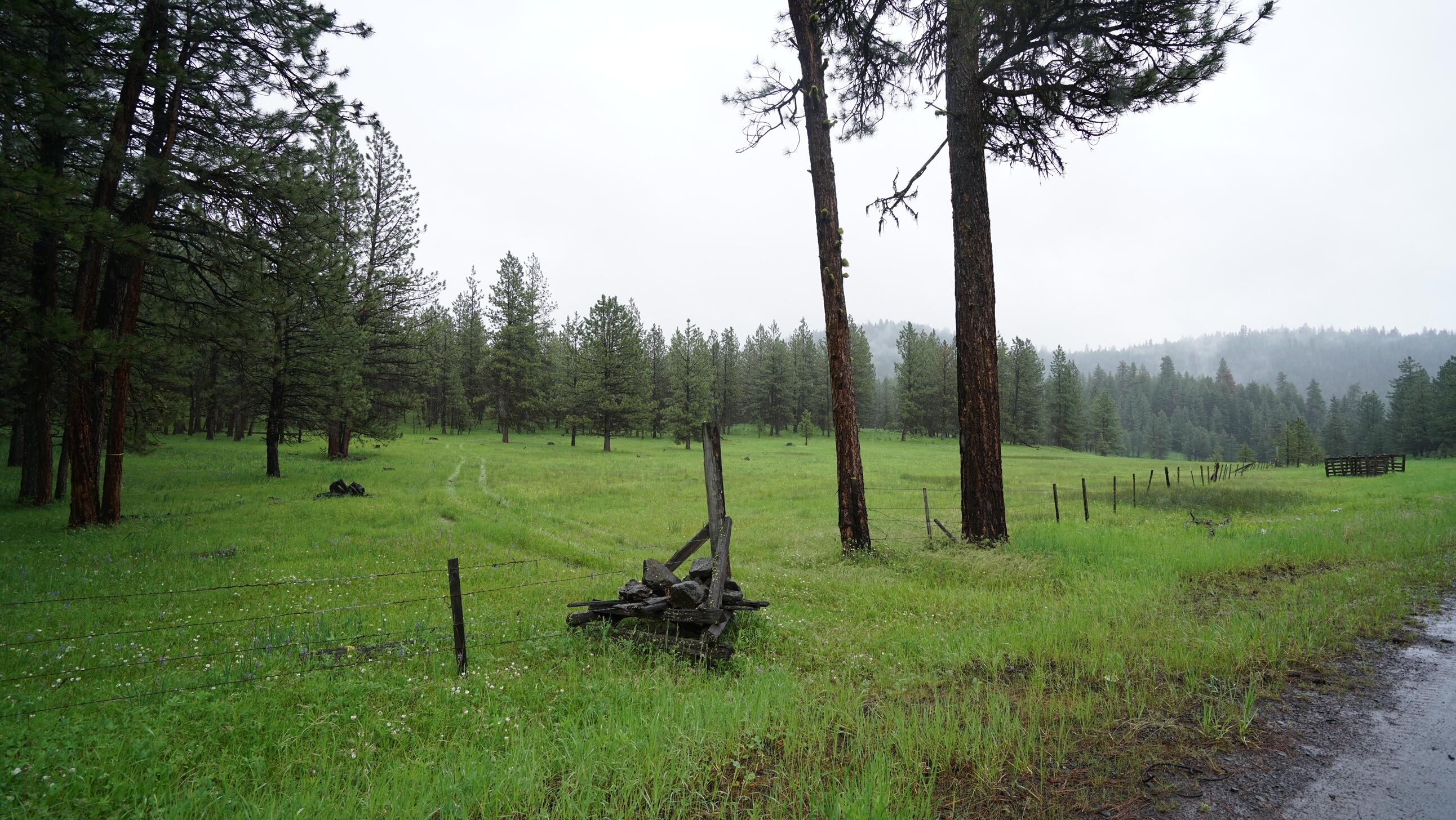 214 Forest Road Bates, OR 97817 - Photo 31 of 34 DSC02351