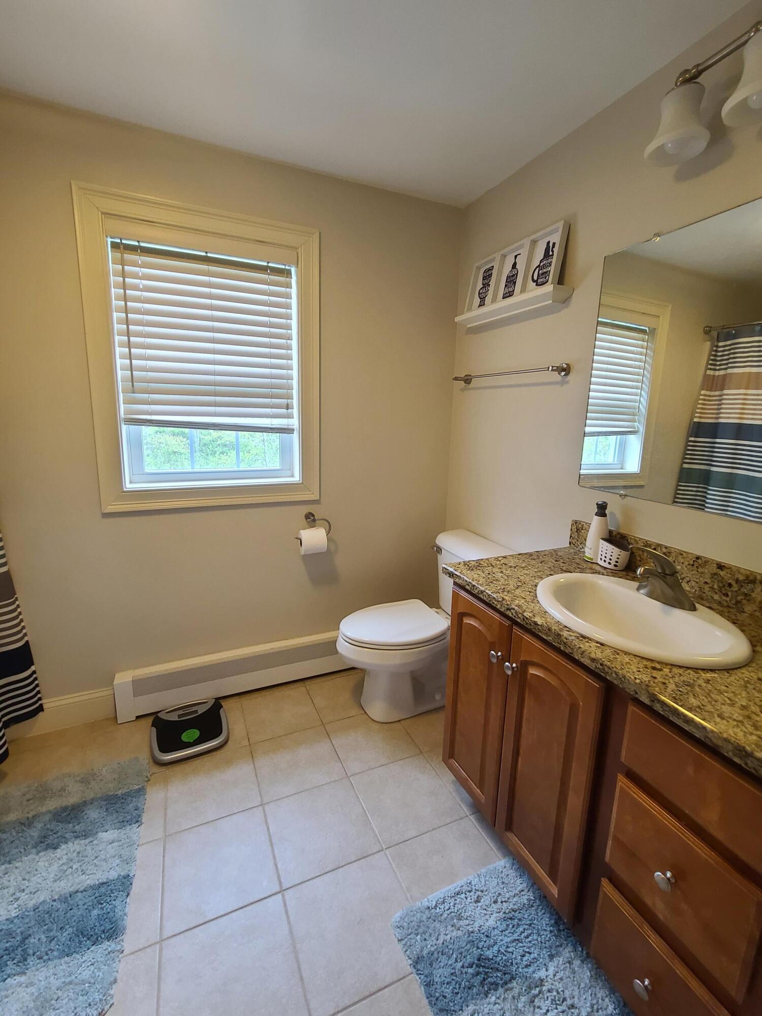12 Pheasant Ridge Drive Windham, ME 04062 - Photo 36 of 45 20220519_165309