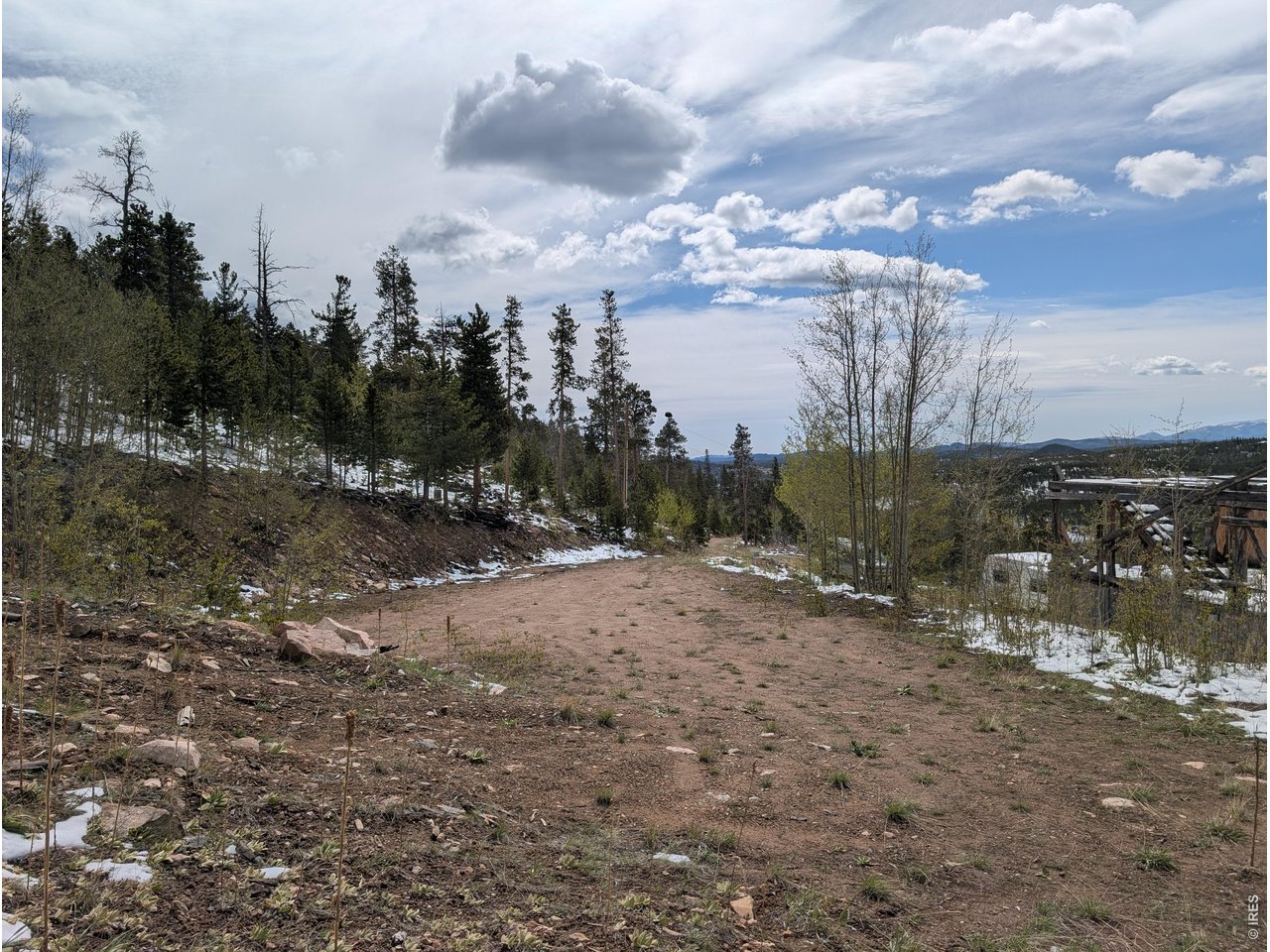 540 Elkridge Road Red Feather Lakes, CO 80545 - Photo 5 of 13